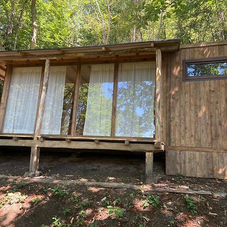 Suxen Nature Experience - Lodge Con Vista Panoramica Prepotto  Eksteriør billede