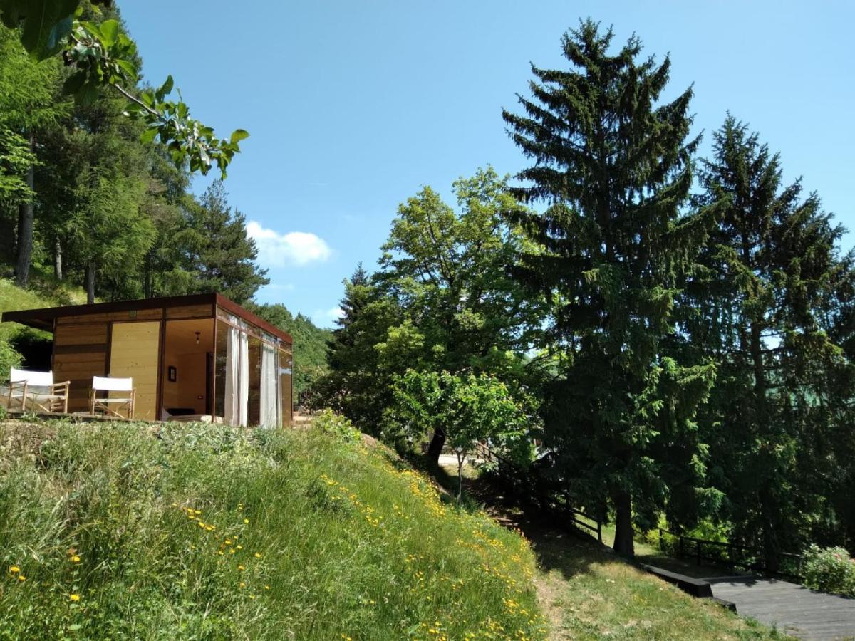 Suxen Nature Experience - Lodge Con Vista Panoramica Prepotto  Eksteriør billede